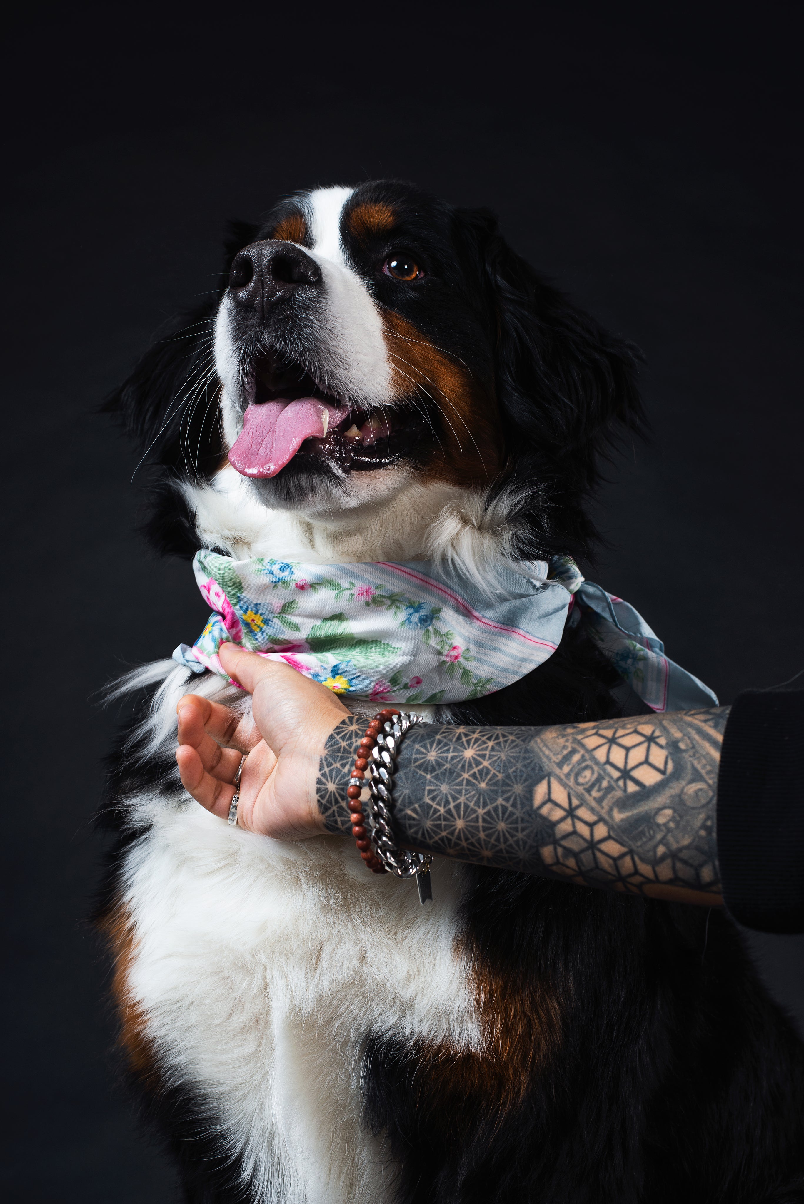Discover our collection of stylish pet collars and leashes, designed to add a touch of personality to your furry friend's wardrobe. From vibrant colors to trendy patterns, our accessories blend fashion with functionality, ensuring your pet stands out with panache during your daily walks.