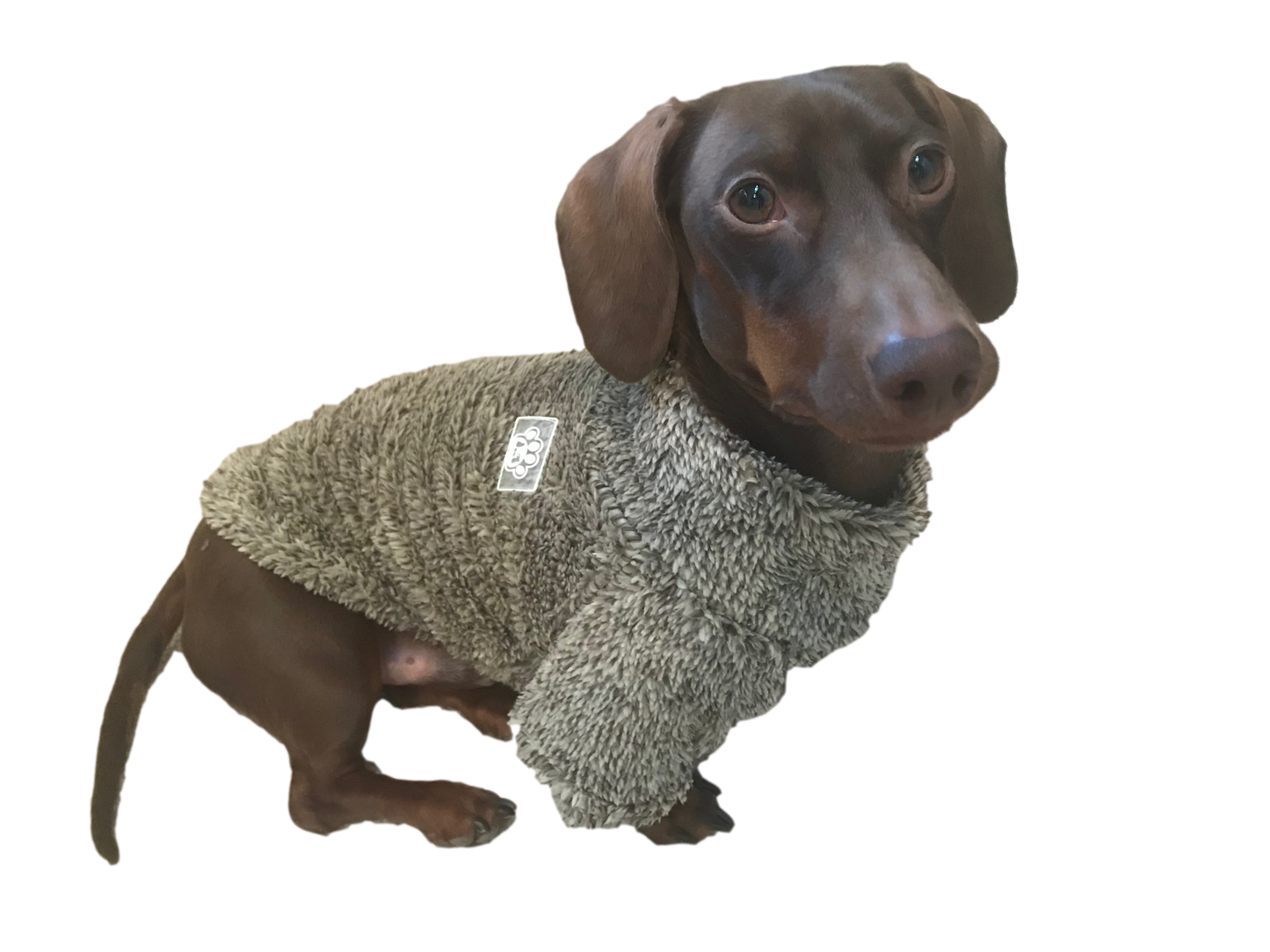 PUP Loungewear Sweater